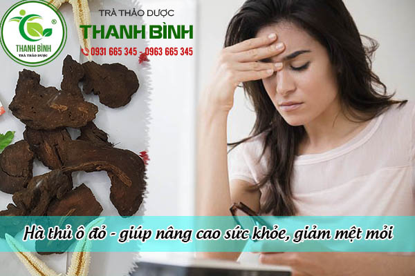 hà thủ ô đỏ thảo dược thanh bình