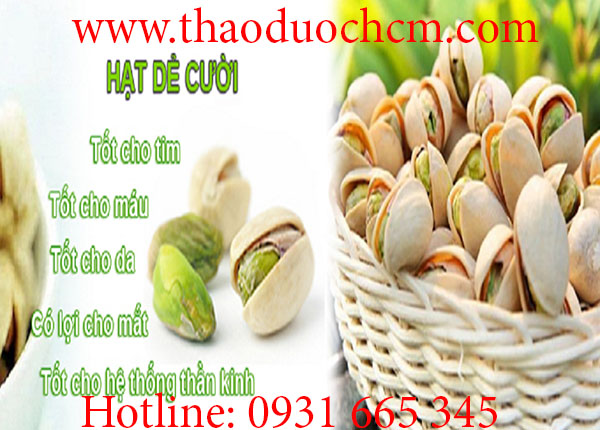 hạt dẻ cười