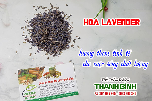 hoa oải hương thảo dược thanh bình