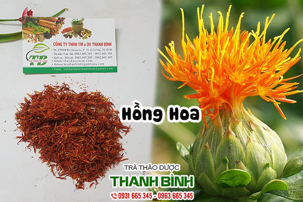 hồng hoa thảo dược thanh binh