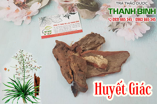 huyết giác thảo dược thanh bình