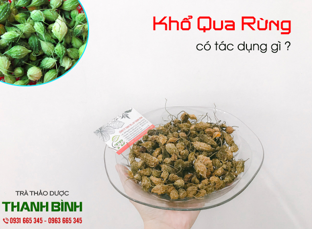 khổ qua rừng thảo dược thanh bình