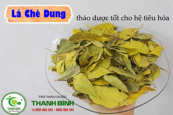 chè dung thảo dược thanh bình