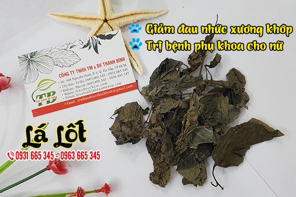 lá lốt thảo dược thanh bình