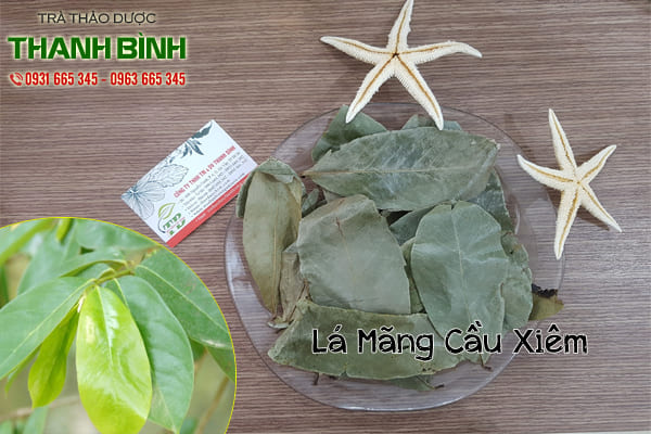 lá mãng cầu xiêm thảo dược thanh bình