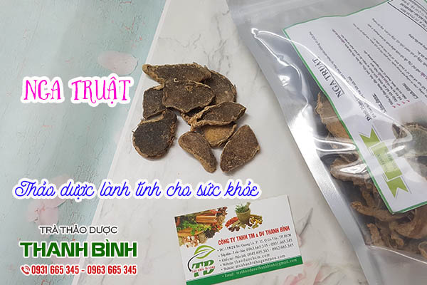 nga truật thảo dược thanh bình