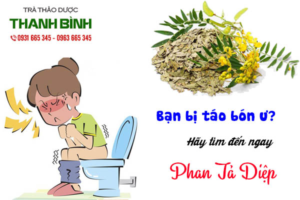 phan tả diệp thảo dược thanh bình