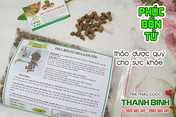 phúc bồn tử thảo dược thanh bình