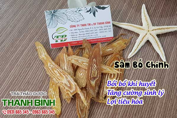 sâm bố chính thảo dược thanh bình