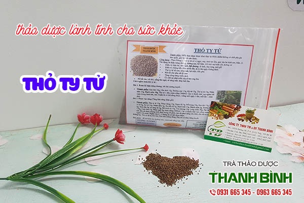 thỏ ty tử thảo dược thanh bình