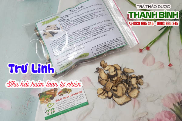 trư linh thảo dược thanh bình