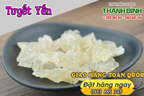 tuyết yến thảo dược thanh bình