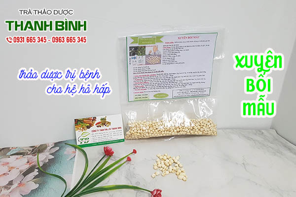 xuyên bối mẫu thảo dược thanh bình