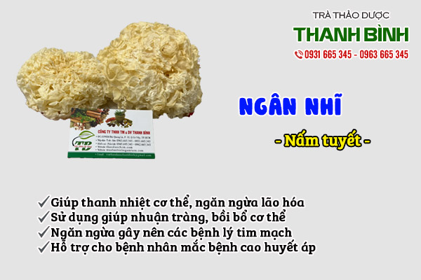 ngân nhĩ tại thảo dược Thanh Bình