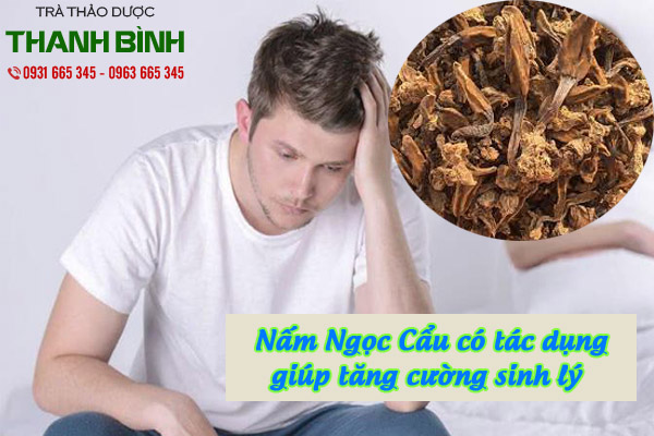 nấm ngọc cẩu thảo dược thanh bình