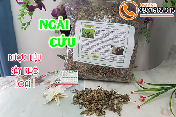 ngải cứu thảo dược thanh bình