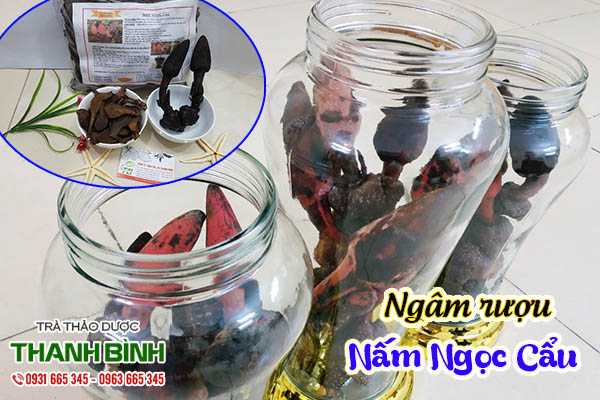 nấm ngọc cẩu thảo dược thanh bình