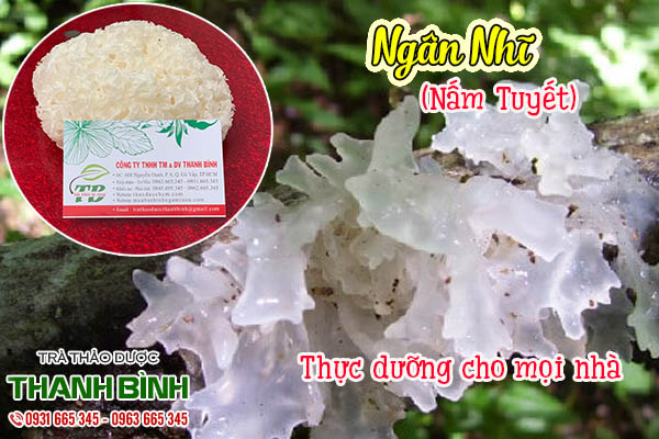 ngân nhĩ thảo dược thanh bình