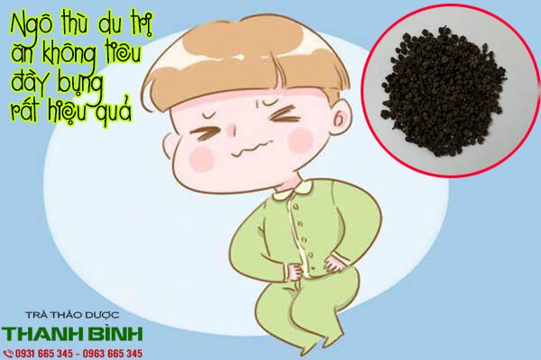 ngô thù du tại thảo dược thanh bình