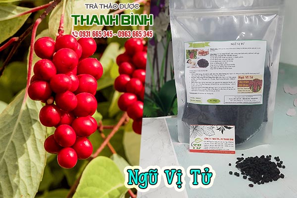 ngũ vị tử thảo dược thanh bình