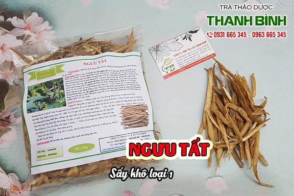 ngưu tất thảo dược thanh bình