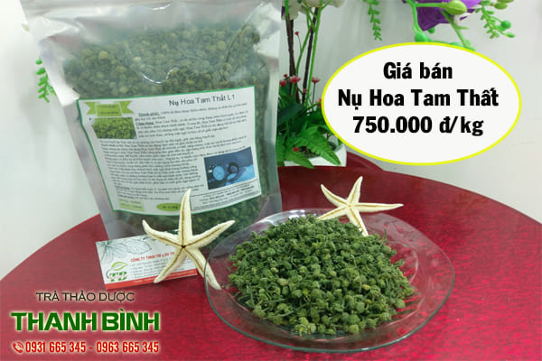 nụ hoa tam thất thảo dược thanh bình