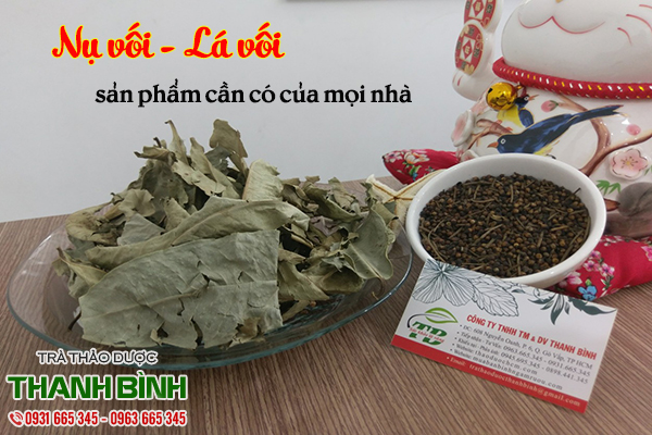 nụ vối lá vối thảo dược thanh bình