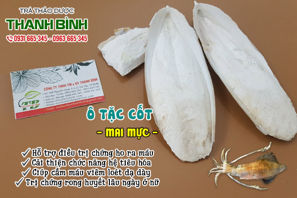 ô tặc cốt tại thảo dược Thanh Bình