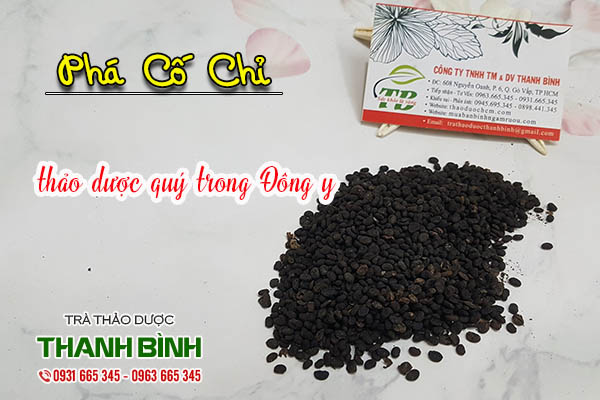 phá cố chỉ thảo dược thanh bình