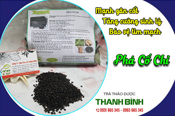 phá cố chỉ thảo dược thanh bình