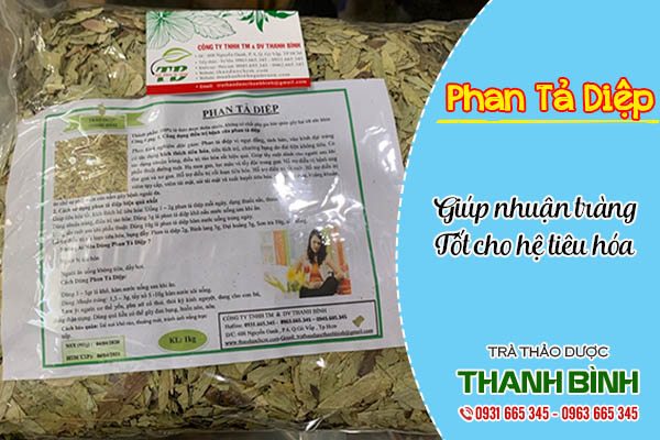 phan tả diệp thảo dược thanh bình