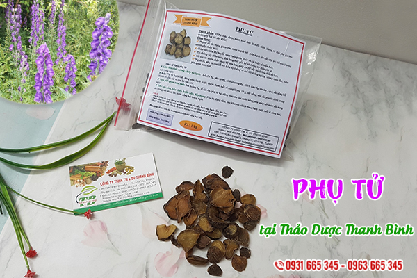 Phụ tử Thảo Dược Thanh Bình