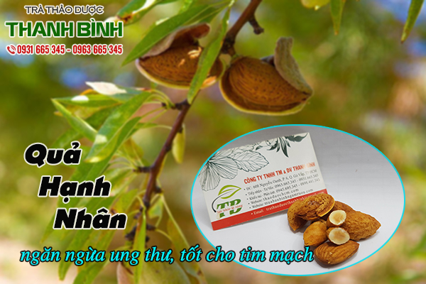 quả hạnh nhân thảo dược thanh bình