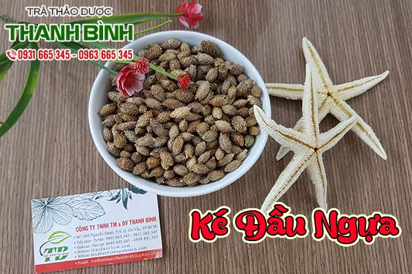 ké đầu ngựa thảo dược thanh bình