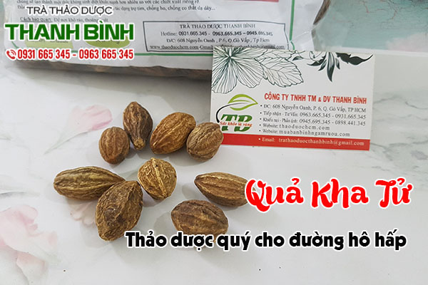 quả kha tử thảo dược thanh bình