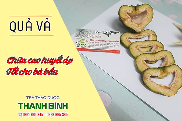 quả vả thảo dược thanh bình