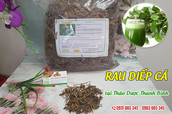 Rau diếp cá Thảo Dược Thanh Bình