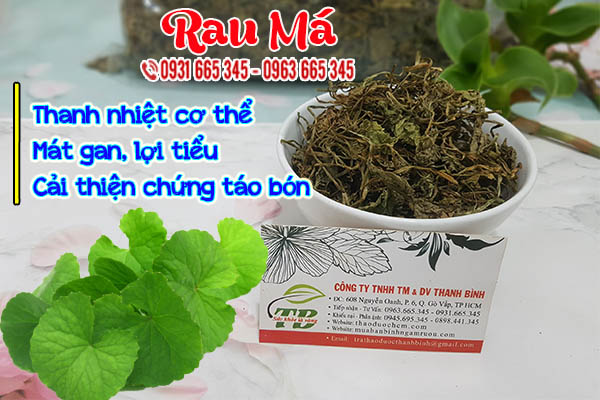 rau má thảo dược thanh bình