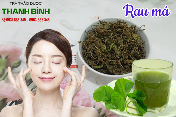 rau má tại thảo dược Thanh Bình