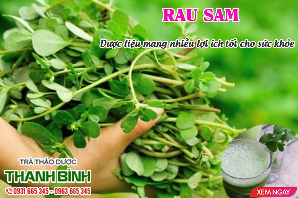 Rau sam Thảo Dược Thanh Bình