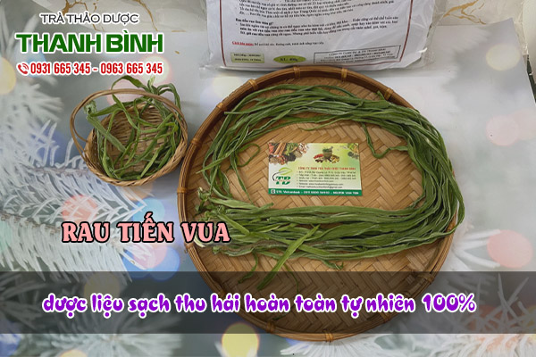 Rau tiến vua tại thảo dược Thanh Bình