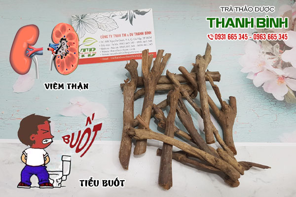 rễ cau tại thảo dược Thanh Bình