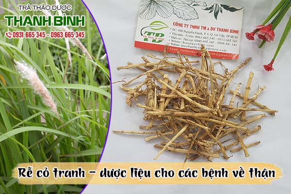 rễ cỏ tranh thảo dược thanh bình