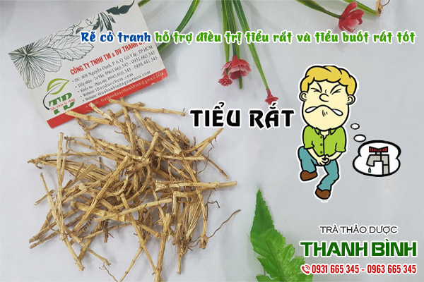 rễ cỏ tranh tại thảo dược thanh bình