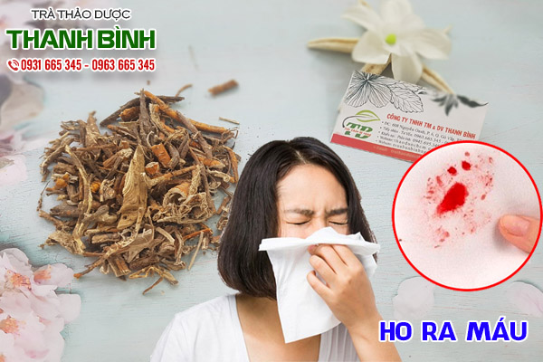 rễ dâu tại thảo dược Thanh Bình