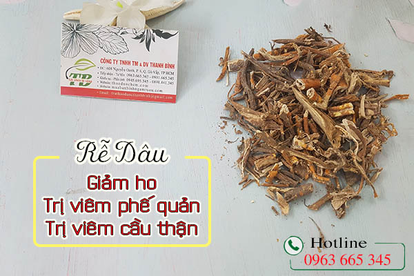 rễ dâu thảo dược thanh bình