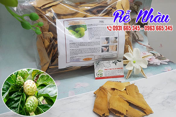 rễ nhàu thảo dược thanh bình