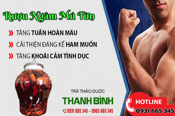 cây mú từn thảo dược thanh bình