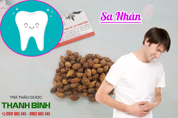 sa nhân tại thảo dược thanh bình