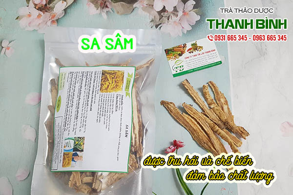 sa sâm thảo dược thanh bình